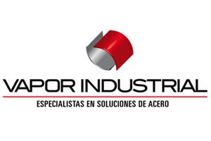 logo vapor industrial